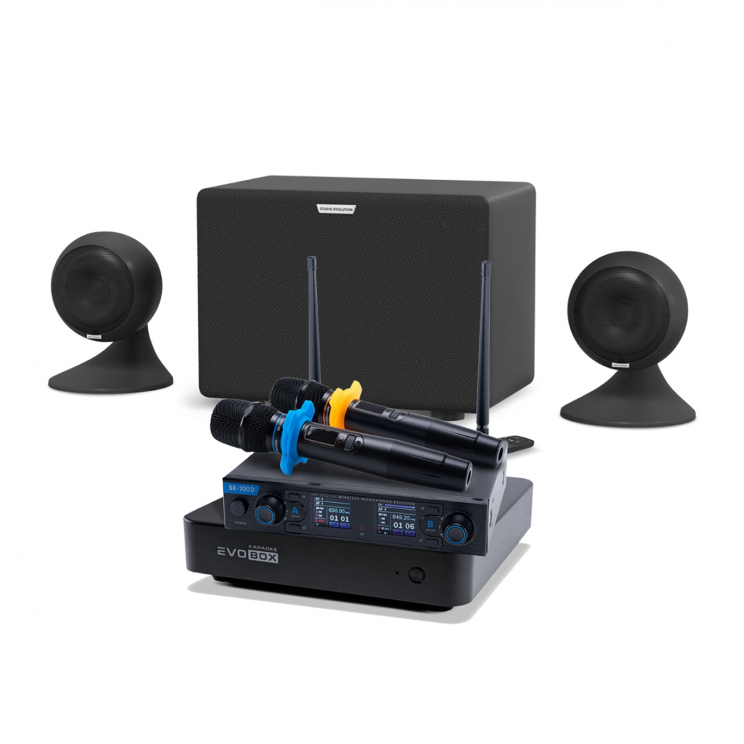 караоке-комплект EVOBOX + EvoSound Sphere 2.1 в Бугуруслане