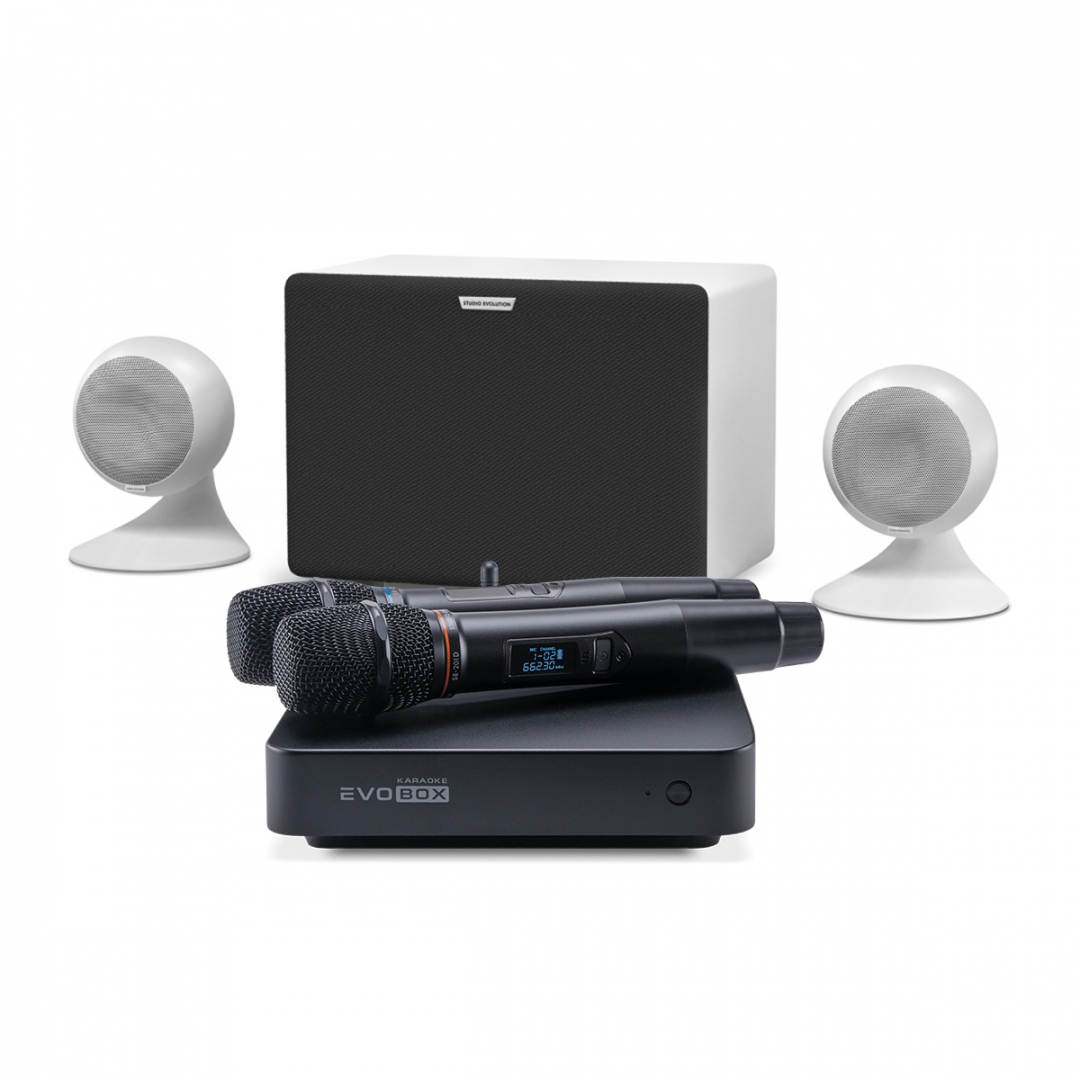 караоке-комплект EVOBOX Classic + EvoSound Sphere 2.1 в Бугуруслане