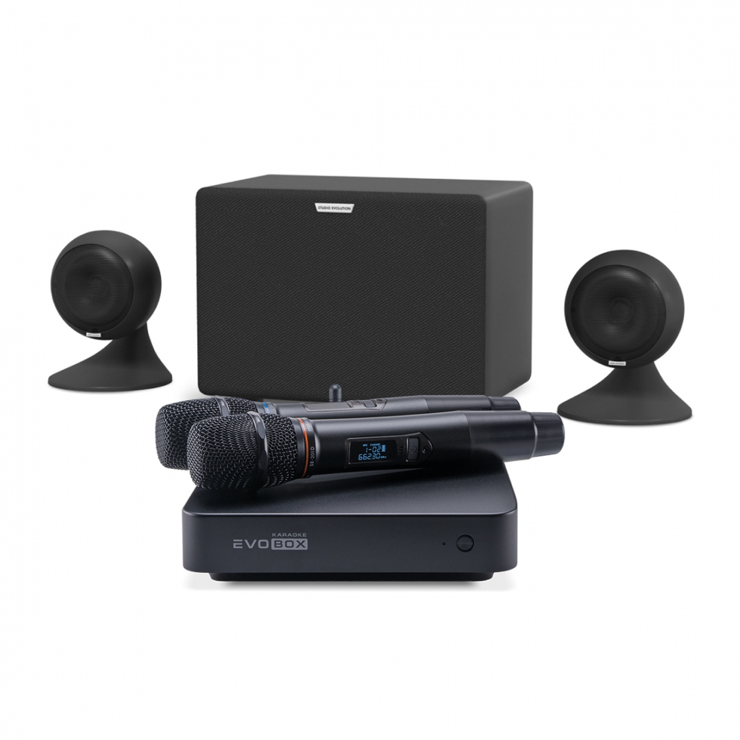 караоке-комплект EVOBOX Plus + EvoSound Sphere 2.1 в Бугуруслане
