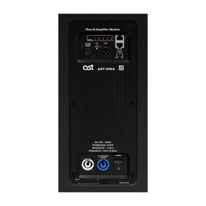 Активная акустическая система AST-310A в Бугуруслане