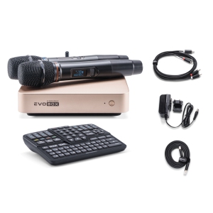 EVOBOX Classic караоке-система для дома в Бугуруслане