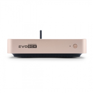 EVOBOX Plus караоке-система для дома в Бугуруслане