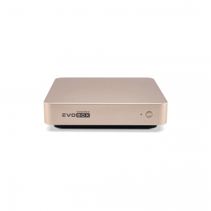EVOBOX с микрофонами в Бугуруслане